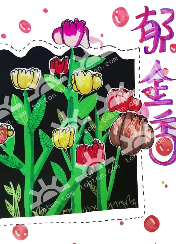 郁金香