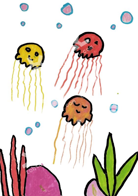 水母宝宝