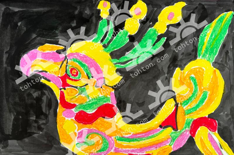美丽的金乌