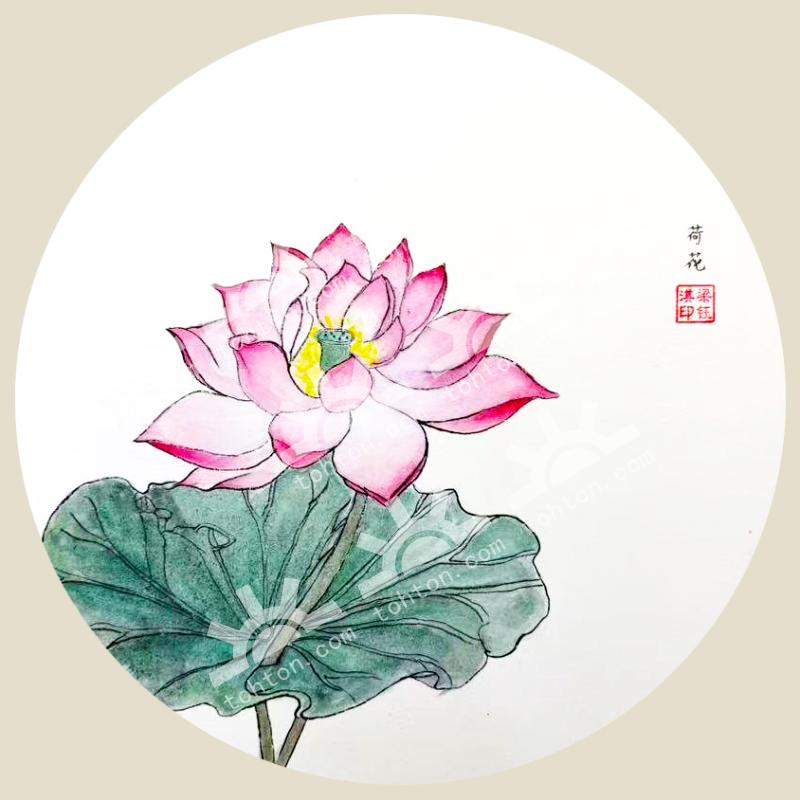 荷花