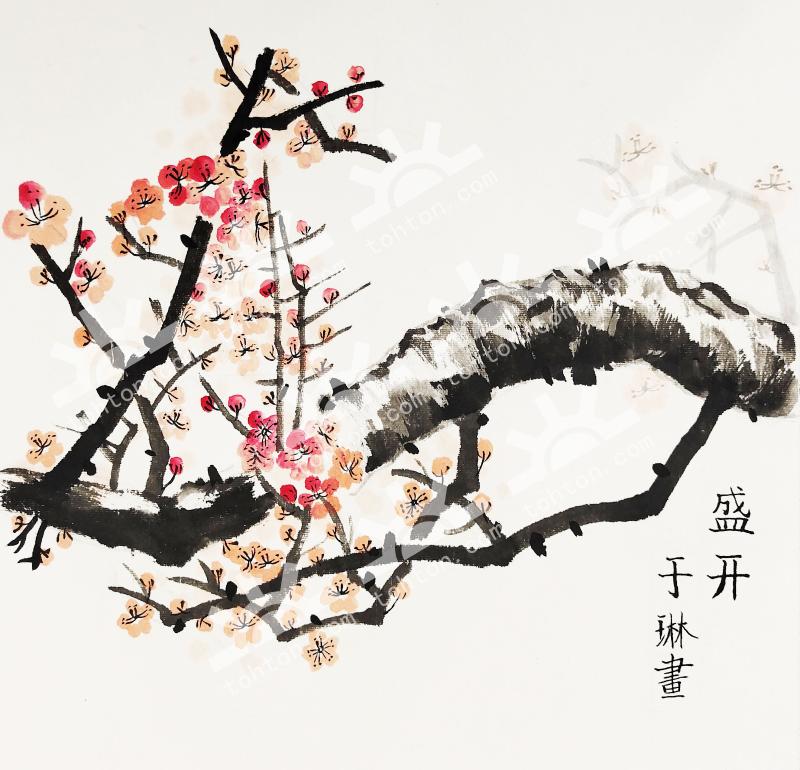 盛开