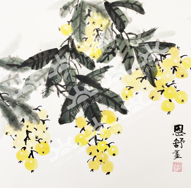 枇杷美