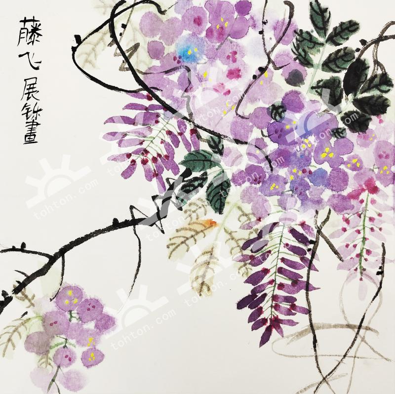 藤飞