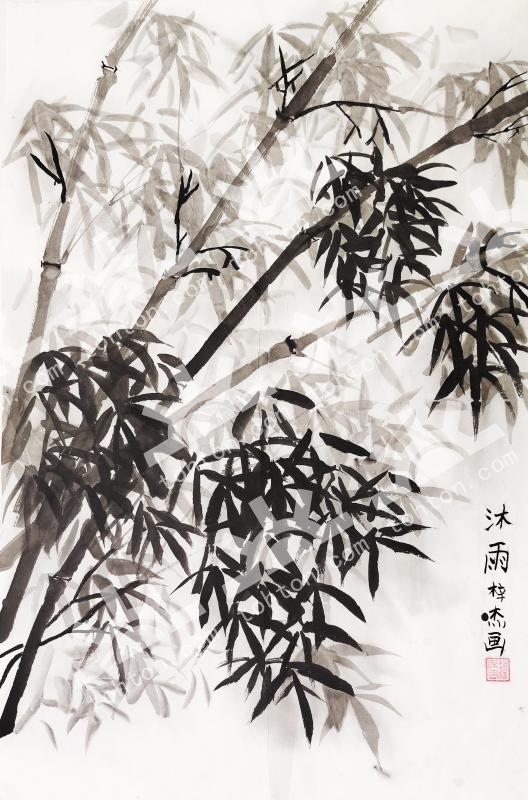 沐雨