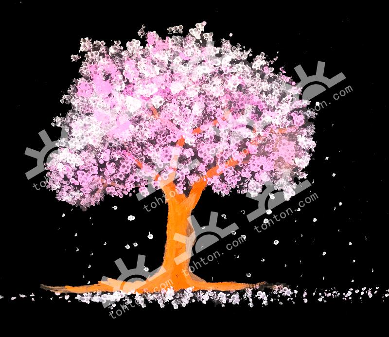 樱花