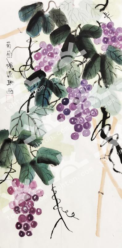 葡萄