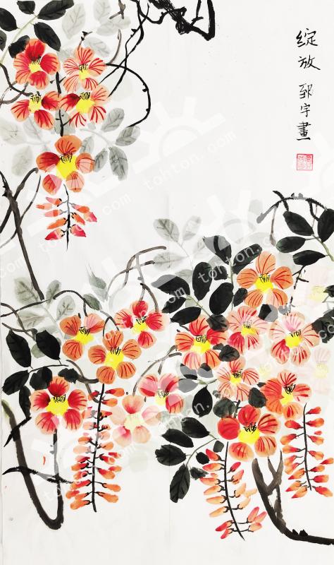 绽放