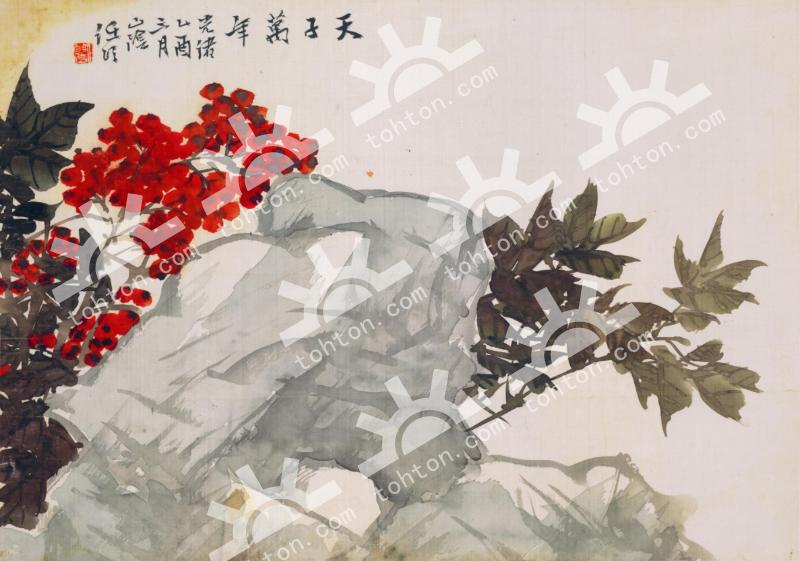 花鸟