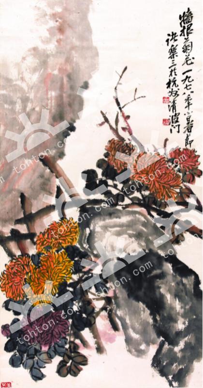 墙根菊花图