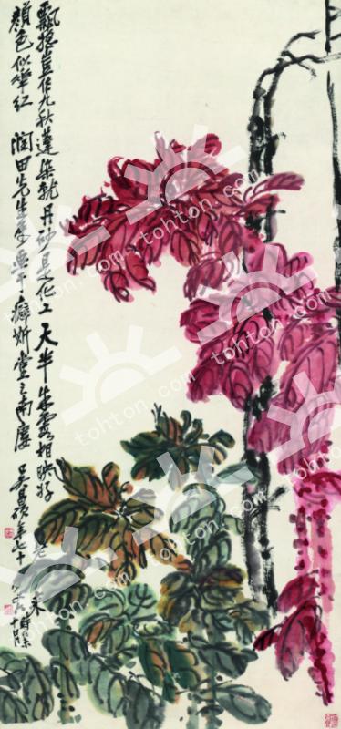 老菊疏篱图