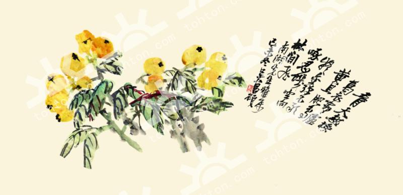 花鸟