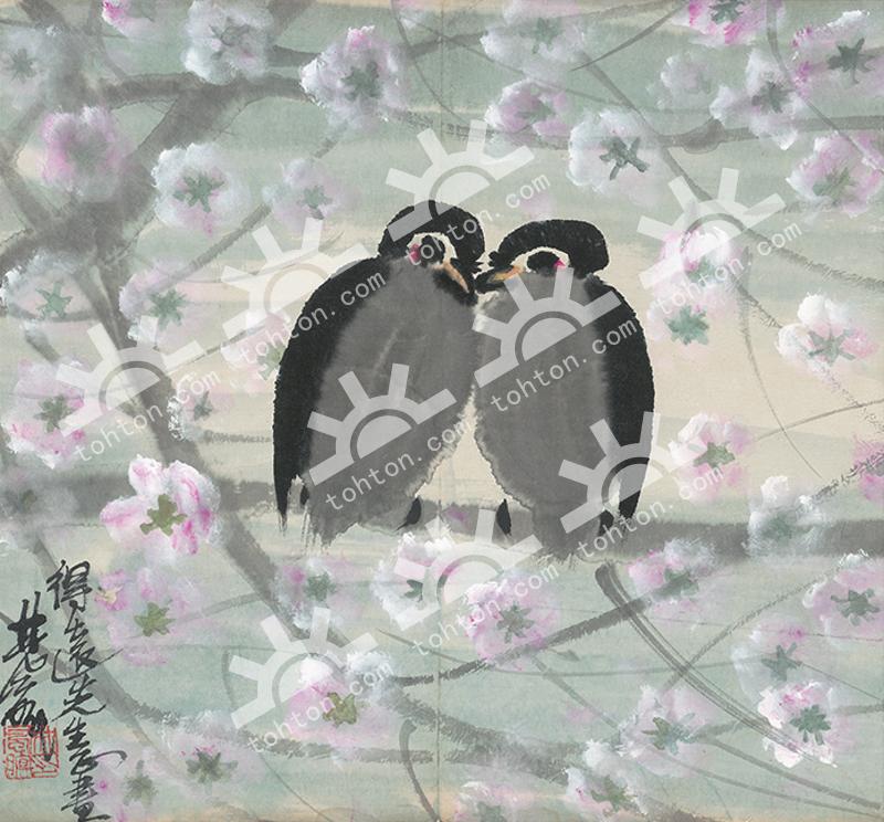 小鸟
